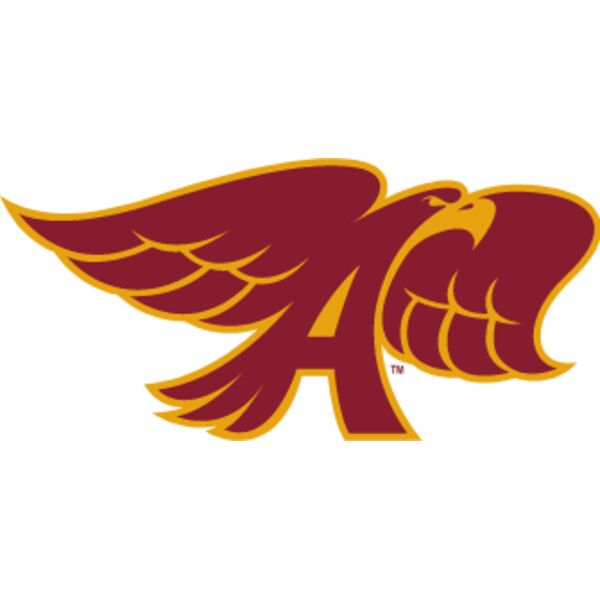 hawkshop vintage hawk full color Thumbnail