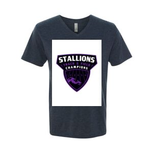 Triblend V-Neck T-Shirt Thumbnail