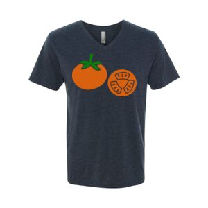 Triblend V-Neck T-Shirt Thumbnail