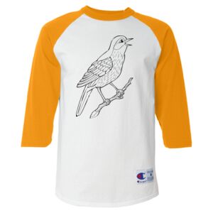 Three-Quarter Raglan Sleeve Baseball T-Shirt Thumbnail