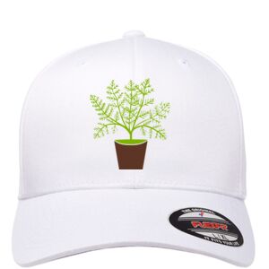 Cotton Blend Cap Thumbnail