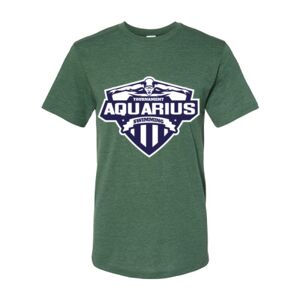 Triblend T-Shirt Thumbnail