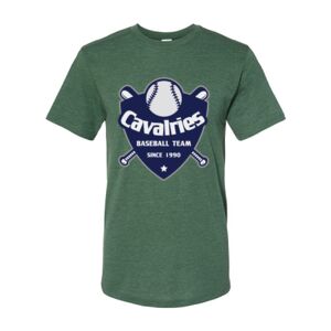 Triblend T-Shirt Thumbnail