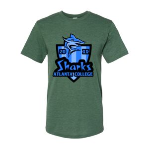 Triblend T-Shirt Thumbnail