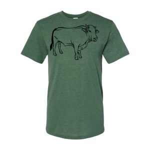 Triblend T-Shirt Thumbnail