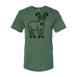 Triblend T-Shirt Thumbnail