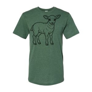 Triblend T-Shirt Thumbnail