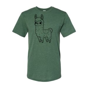 Triblend T-Shirt Thumbnail