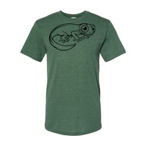 Triblend T-Shirt Thumbnail