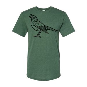 Triblend T-Shirt Thumbnail