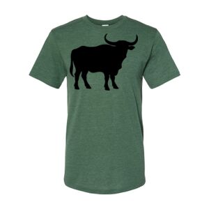 Triblend T-Shirt Thumbnail