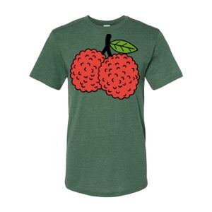 Triblend T-Shirt Thumbnail